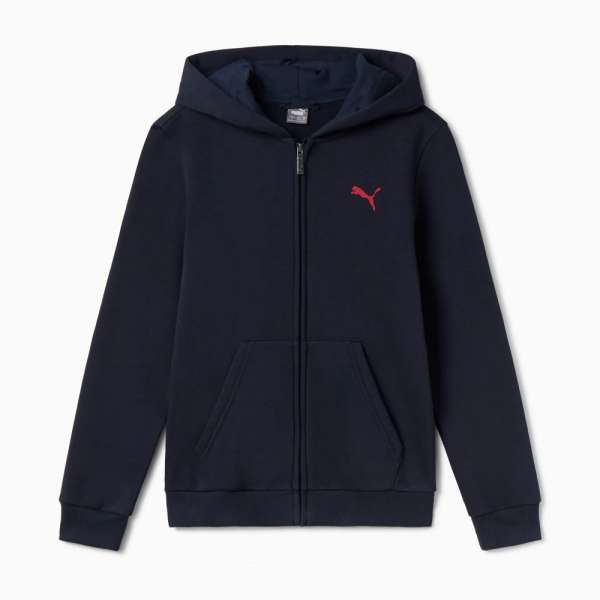 Casaco com capuz gráfico Puma Essentials